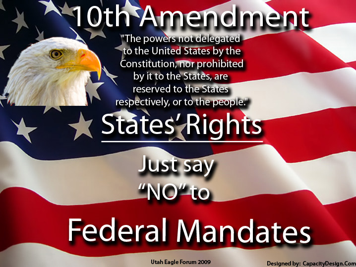 visual representation 10th amendment pictures